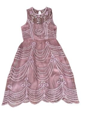 Hitherto Anthropologie Blush Embroidered Silk Mesh Overlay Dress Vintage-Vibe 4
